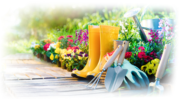 Gardening Tools